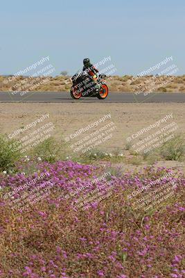 media/Mar-12-2023-SoCal Trackdays (Sun) [[d4c8249724]]/Turn 15 Inside Bloom (130pm)/